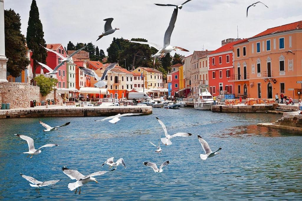 Punta, * Veli Losinj
